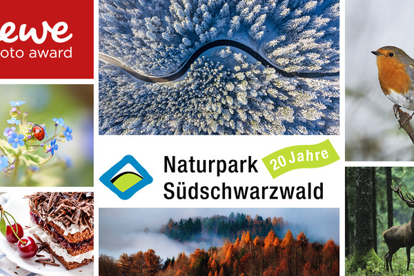 Collage zum Sonderfotowettbewerb Naturpark Sdschwarzwald von CEWE ( CEWE)