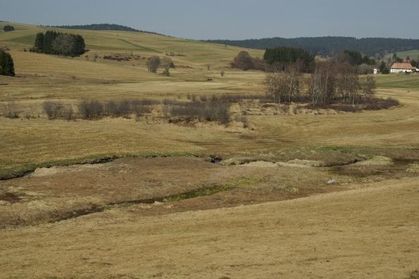 Moorkomplex mit Hochmoorresten und schwach basenreichen Niedermooren ( P. von Sengbusch)