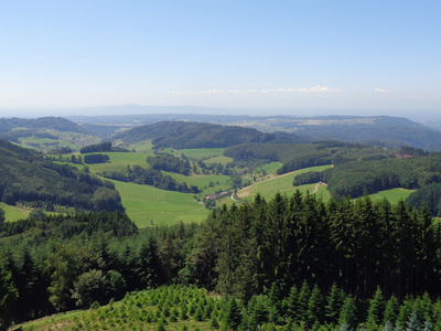 Herrliche Schwarzwaldlandschaft um Freiamt  Gemeinde Freiamt