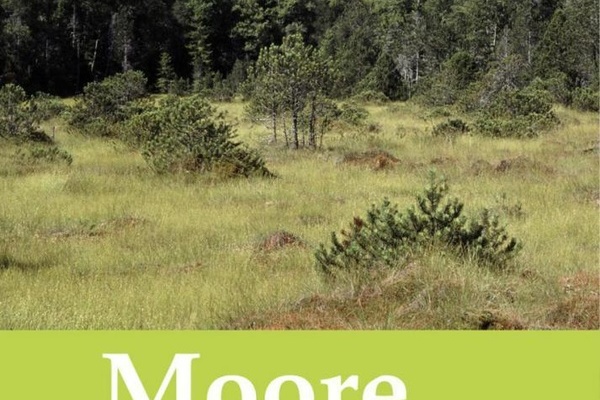 Cover Moore-Broschre