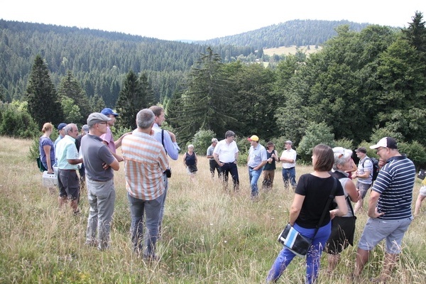 Exkursionsgruppe auf dem von C. Speicher bewirtschafteten Weidberg in Ibach.  Naturpark Sdschwarzwald