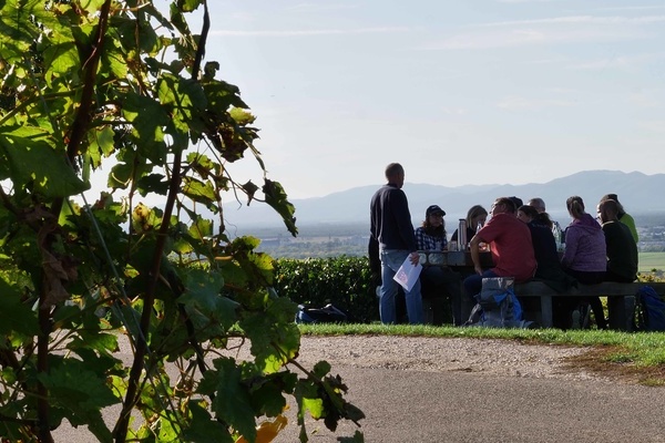 Die Teilnehmerinnen und Teilnehmer des Gstefhrer-Kurses 2019/20 bei einer Lehreinheit zum Thema Wein im Markgrflerland.  Lisa Voelter