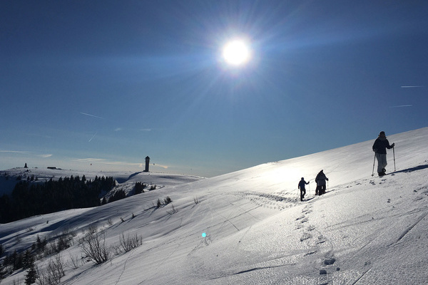 Der Feldberg ldt ein zu herrlichen Schneeschuhtouren - auf eigene Faust oder mit einer Fhrung.  Naturpark Sdschwarzwald