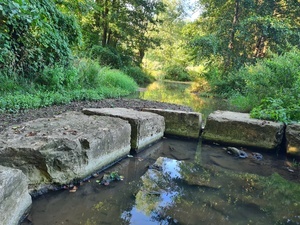 Wasserrückhalt mit reguliertem Abfluss © Naturpark Südschwarzwald e. V. Wasserrückhalt mit reguliertem Abfluss © Naturpark Südschwarzwald e. V.