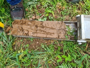 Auswertung der Bodenprobe © Naturpark Südschwarzwald e. V. Auswertung der Bodenprobe © Naturpark Südschwarzwald e. V.