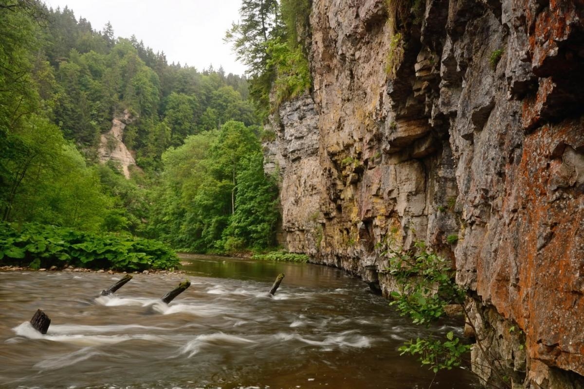 Felswand in der Wutachschlucht  Martin Schwenninger