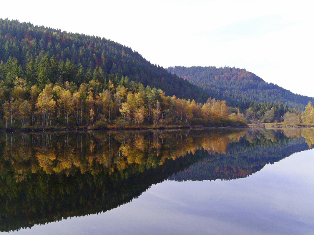 Titisee  VDN/Daniela Walter