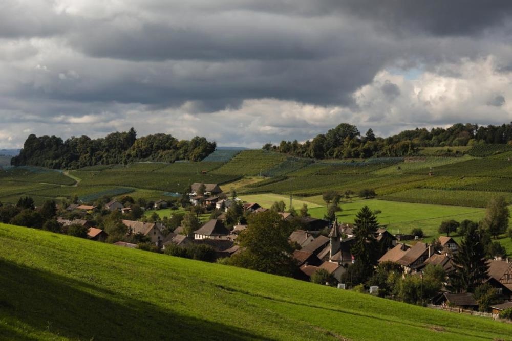 Blick auf Osterfingen, Kanton Schaffhausen  Schweiz Tourismus