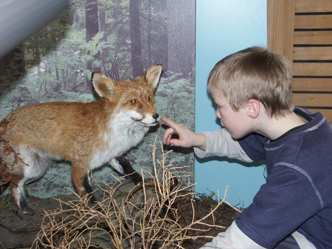 Kinder beim Entdecken  NAZ Sdschwarzwald