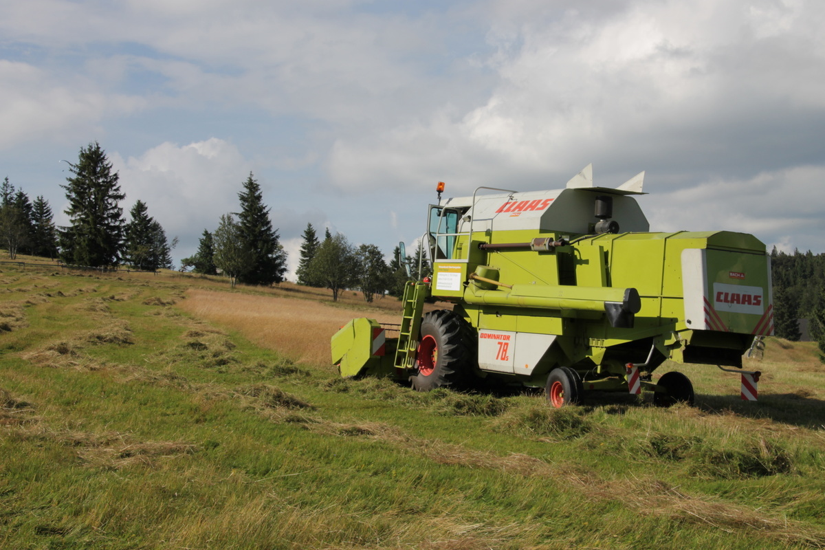 Beerntung einer Spenderflche mit dem Mhdrescher.  Naturpark Sdschwarzwald