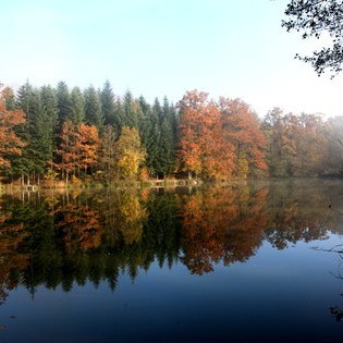 Am Neumhlsee bei Waldenburg  G. Stier/ VDN