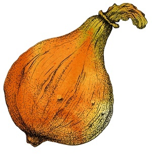 Es wird herbstlich!  Naturpark Sdschwarzwald e. V., Matthias Wieber 