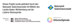 Hinweis nationale Frderung