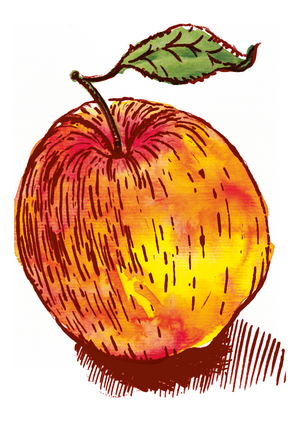 Es wird winterlich! � Naturpark S�dschwarzwald e. V., Matthias Wieber 