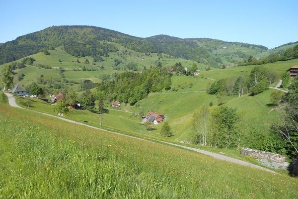 Wiesenmeisterschaften - Blick auf die Weiden um Wieden (Foto: J.-M. Henry)