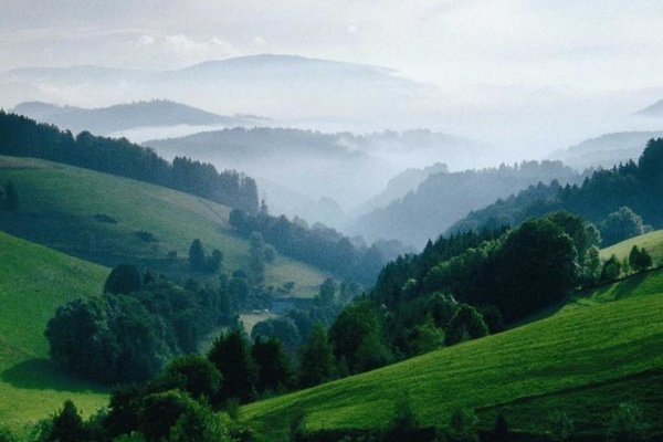 Schwarzwaldlandschaft - Copyright: Hochschwarzwald Tourismus GmbH