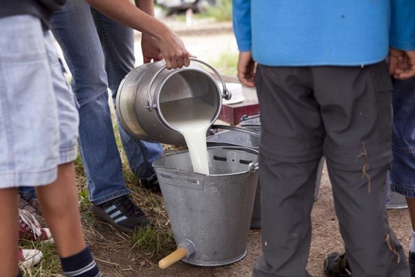Kinder beim Melken auf dem Schulbauernhof Hochburg