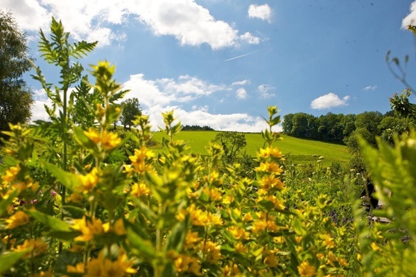 Blick in einen Bauerngarten - Copyright: Peter Mesenholl