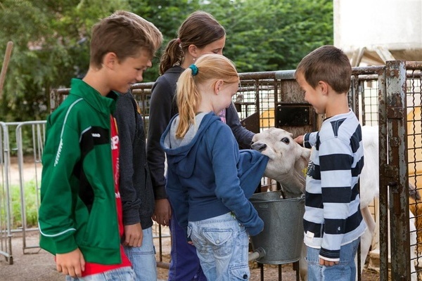 Auf dem Schulbauernhof Domne Hochburg kommt man den Tieren ganz nah  Schulbauernhof Domne Hochburg