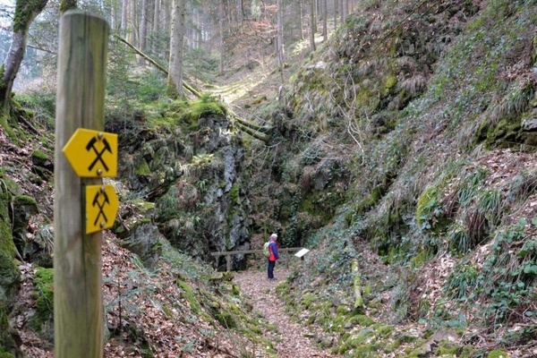 Blick in den Verhau mit Radstube - Copyright: Archologie-Werkstatt