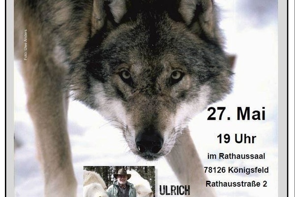 Plakat Vortrag Wölfe von Ulrich Wotschikowsky am 27.05.2017