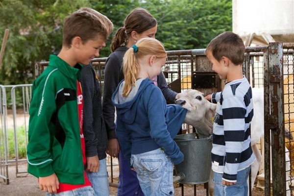 Auf dem Schulbauernhof gibt es viel zu erleben!