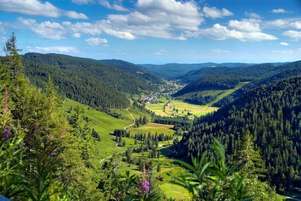 Blick ins Menzenschwander Tal - Copyright: HTG