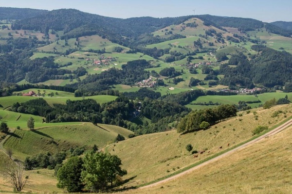 Chrakteristische Kulturlandschaft im Kleinen Wiesental