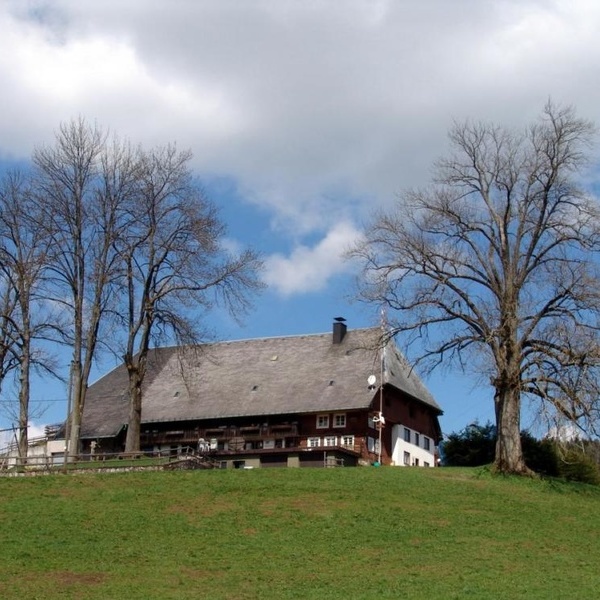 Der Schwarzwald und seine Bewohner