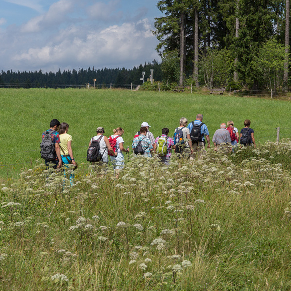 Unterwegs mit Ingrid Schyle  S. Schrder-Esch