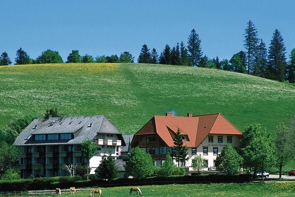 Blick auf das Gasthaus Sonne-Neuhusle 