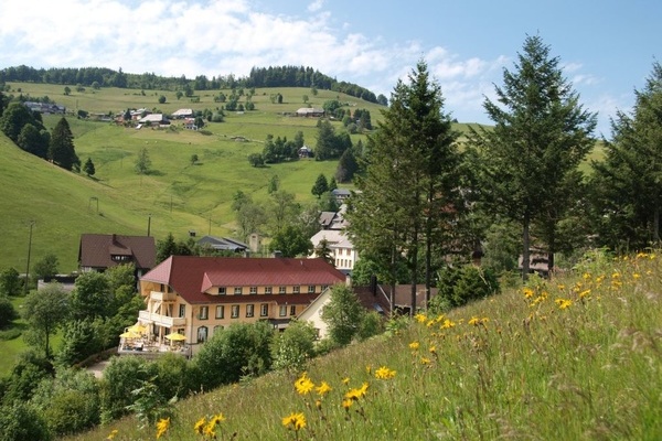 Blick auf das Vital-Hotel Grner Baum  GastroTeam Albiez GmbH