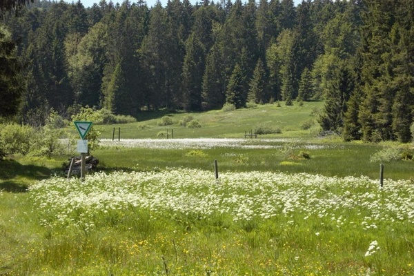 Blick aufs Schwarze Sgemoos  Jahn