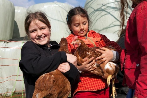 An Ostern dreht sich alles ums Ei  Schulbauernhof Domne Hochburg