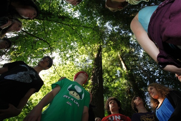 Hier wird der Wald mit allen Sinnen erfahren  Klaus Echle