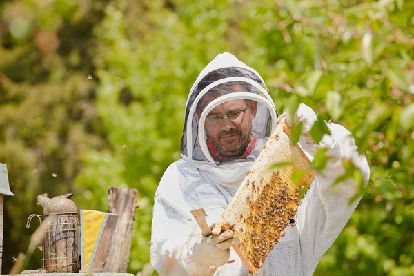 Bei den Bienen © Familie Barth