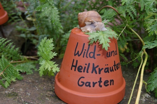 Nicht nur Schnecken lieben den Kräutergarten © Rehm-Hug