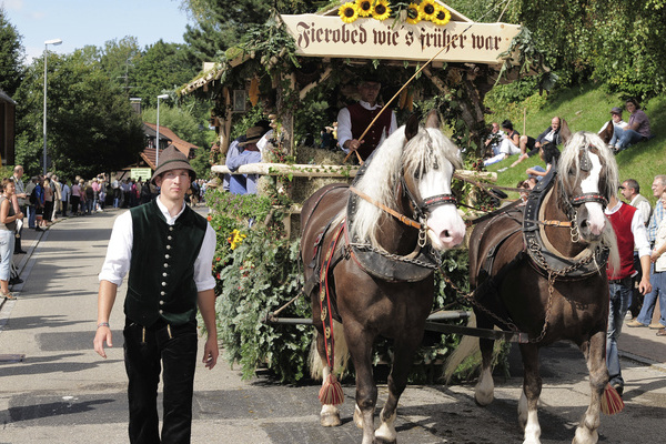 Schwarzwlder Fuchs beim Rossfest in St. Mrgen  Herbert Mark