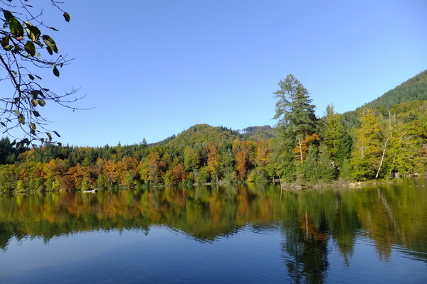 Der Bergsee bei Bad Sckingen  Heinz-Michael Peter