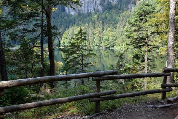 Der Wanderweg am Feldsee  VDN/HMphotography