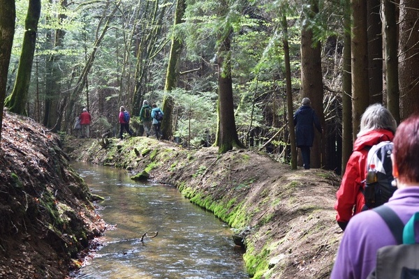 Mit der Wlderakademie unterwegs im Hotzenwald  Annka Mickel