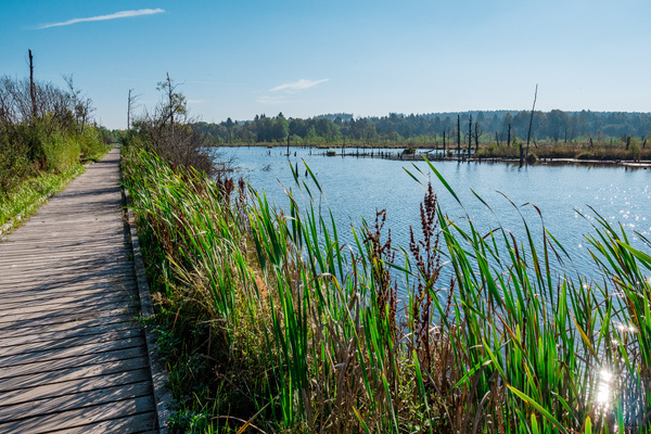 Blick ins Schwenninger Moos  Wirtschaft und Tourismus Villingen-Schwenningen GmbH