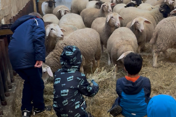 Der Lindenhof ist auch Lernort Bauerhof � Lindenhof Burkard GbR