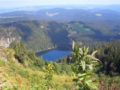 Feldsee