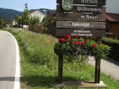 Blumige Begrung in Hasel  Gemeinde Hasel