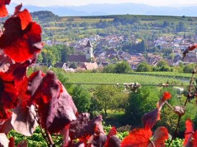 Blick auf Malterdingen  Gemeinde Malterdingen