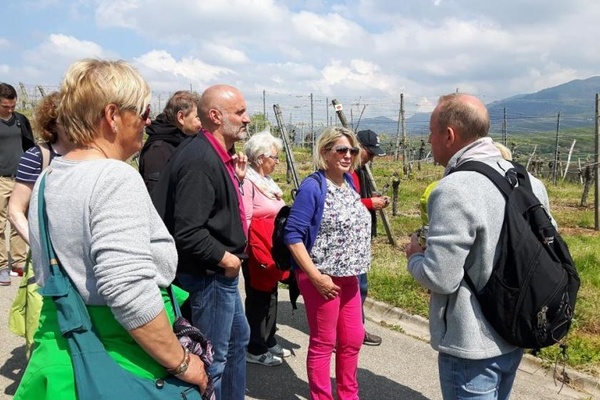 Die Fortbildungs zum Naturpark-Gastgeber Wein Spezial findet auch vor Ort im Weinberg statt (Foto: VHS Marktgrflerland)