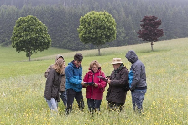 Gruppenbild Wiesenmeisterschaft 2015