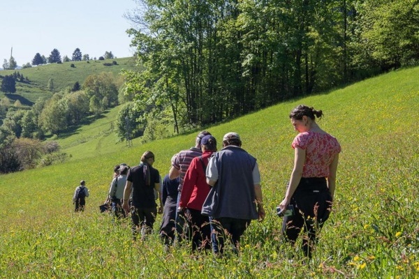 Jurybegehung eienr Flche (Foto: Naturpark Sdschwarzwald)