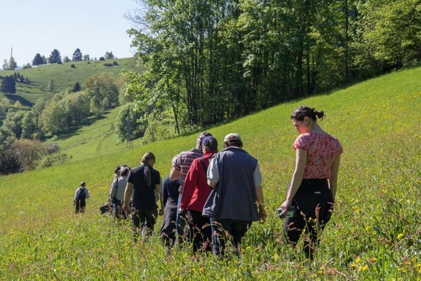 Jurybegehung in Wieden (Quelle: Naturpark Sdschwarzwald)